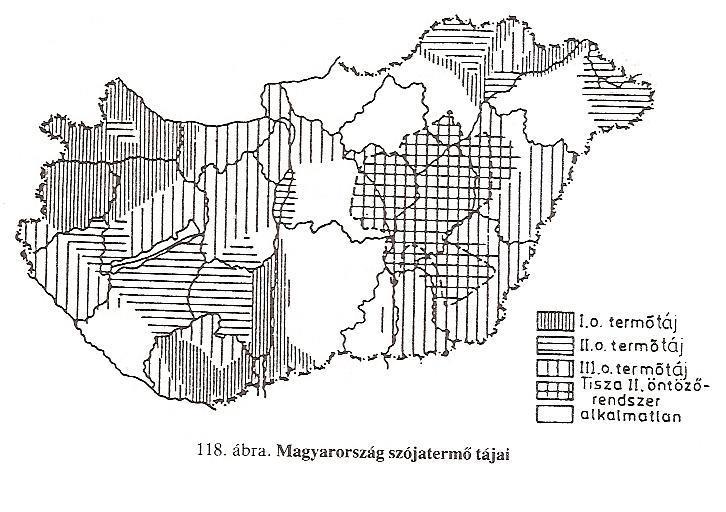 Termesztő