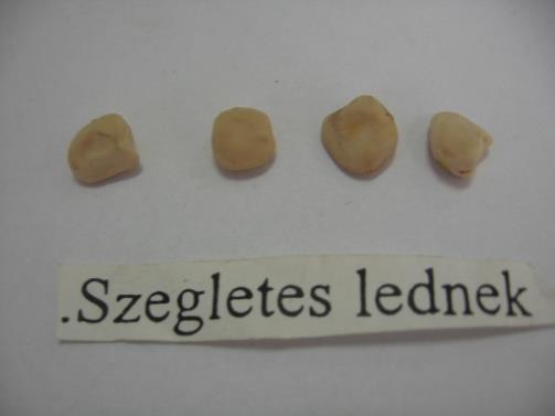 Szegletes lednek Oldalról lapított 35-50 mm-es