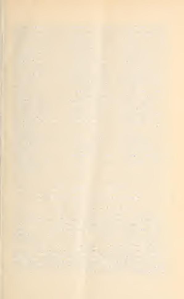 Biodiversity Heritage Library, http://www.biodiversitylibrary.org/ www.zobodat.at 23 H. nivea Baumg. 268, 373 II. 19. H. nivea R. F. II. l. H. oblongifolia Schur. II. 13. var. oblongifolia Fonni. H. oblongipetala Borb.
