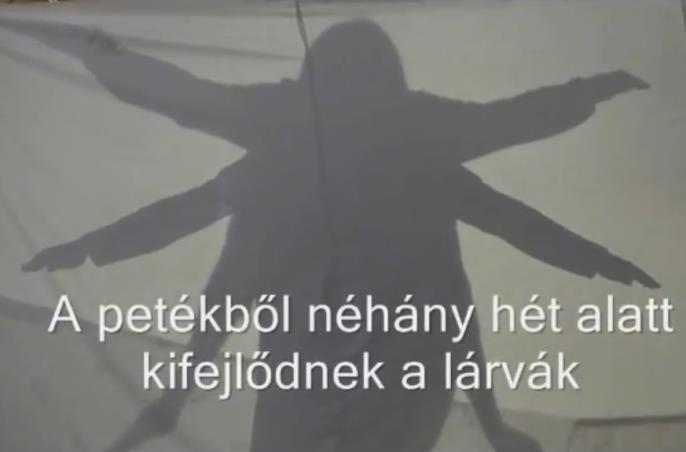 február - március Víz, tiszta víz Március közepén ért véget a nagy érdeklődésre számot tartó Víz, tiszta víz BISEL országos internetes verseny, amelyet