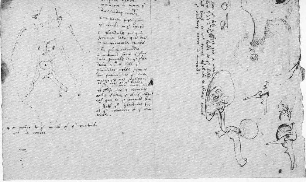 VI.5. Némely filozófiai fiai kérdk rdések 5.