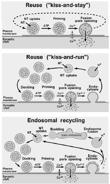 újrafeltöltés leválás nélkül - kiss-and-run :