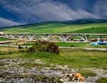 D1 Autópálya híd, Szlovák