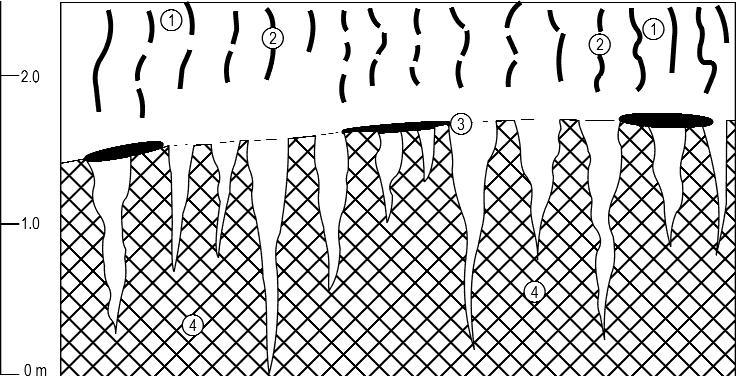 The descripions of this chapter are based on these documents. They will be discussed in order of the above listed lithologic sequence.