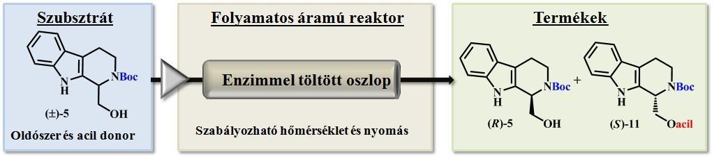 Ezen felül célunk volt az N-védett 1-hidroximetil-szubsztituál tetrahidro-βkarbolin származékok (±)-5 (±)-10 kinetikus rezolválása (KR) primer hidroxilcsoportjuk enzim katalizált aszimmetrikus