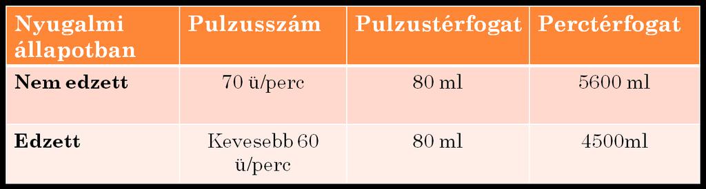 A testedzés hatása a szívre A szív alakbeli és működésbeli váltzáskn megy át ezek edzettségi jelek A váltzásk élettani célja, hgy nagybb kapacitással, hatéknyabb működésre legyen képes keringési