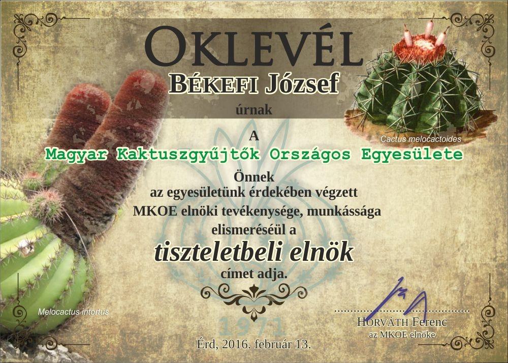 Az MKOE megbízott tisztségviselőnek a budapesti csoport vezetésére VARGA Zoltánt, szervezési vezetőnek pedig ÖTVÖS Dénest kérte fel.