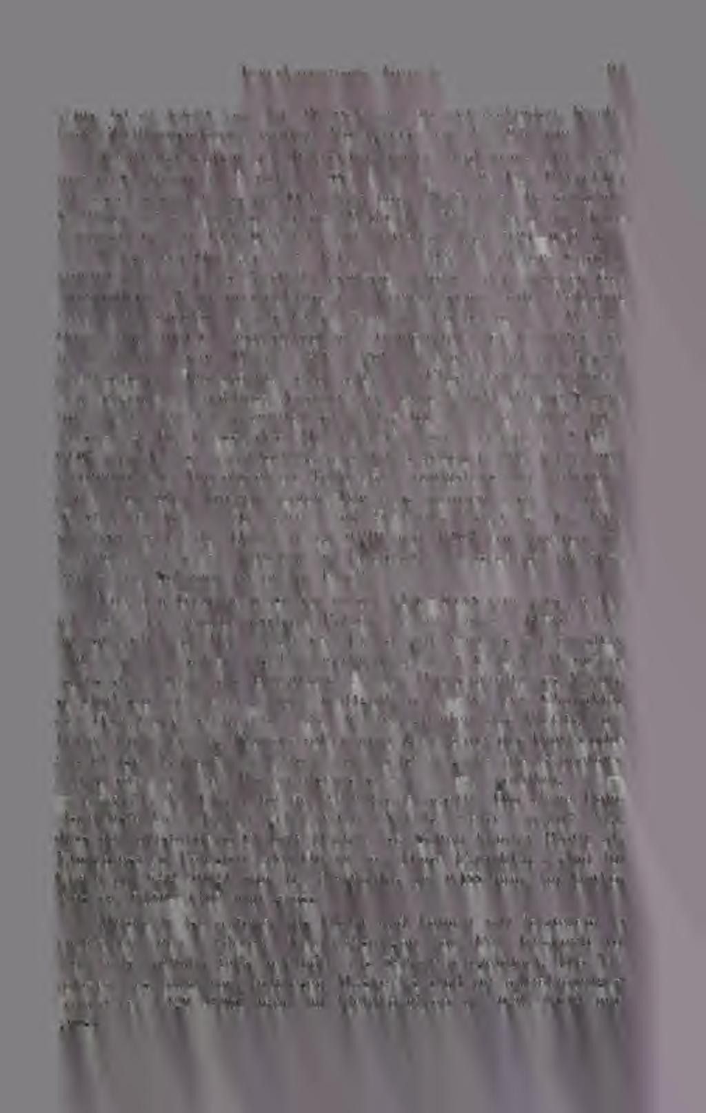I nnerkarpatisohe Gránité 317 Minis, ist er leicht von den Plagioklasen zu unterscheiden. Karlshader-Zwilling.sbildung hantig. Korngrösse ca. 1.5 0.3 mm.