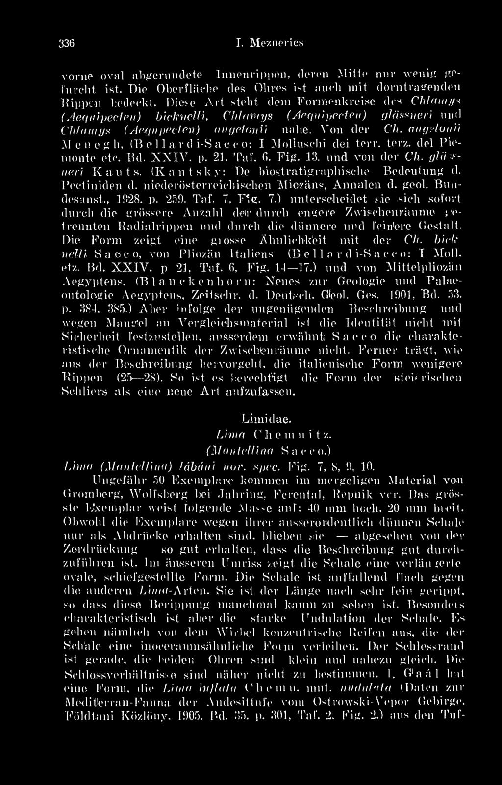 1 a v d i-s a c c o: I Molluschi dei terv. terz. dél Picmonte etc. Bd. XXIV. p. 21. Taf. 6. Fig. 13. und von dér Ch. glüxneri Kauts. (Kautsky: De biostratigraphische Bedeutung d. Pectiniden d.