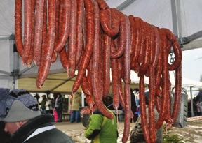 (VI.3.) NM rendelet 2014. január 1-től a javuló Tbc előfordulási gyakoriság okán, országosan már nem a lakosságra, hanem bizonyos rizikó csoportokra vonatkozik a kötelező, ingyenes szűrés.