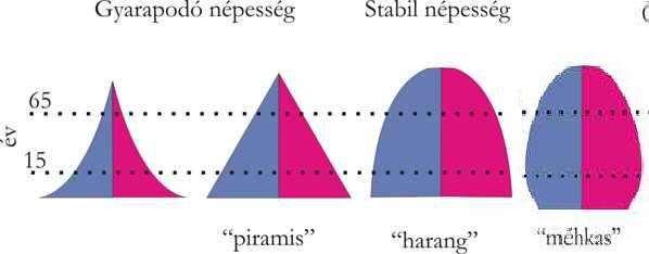Korfa: a népesség kormegoszlásának grafikus