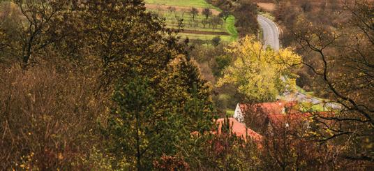 Szeptember 16-24. / 16-24 Septemer / 16-24. September Ars Sacra Fesztivál Veszprém, Boldog Gizella Főegyházmegyei Gyűjtemény www.gizellagyujtemeny.