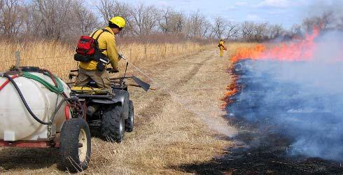 Gyepek természetvédelmi kezelése tűz segítségével Kontrollált égetés (prescribed burning ) Elsődleges hatások befolyásolhatók: Terület megfelelő kiválasztásával Égetés
