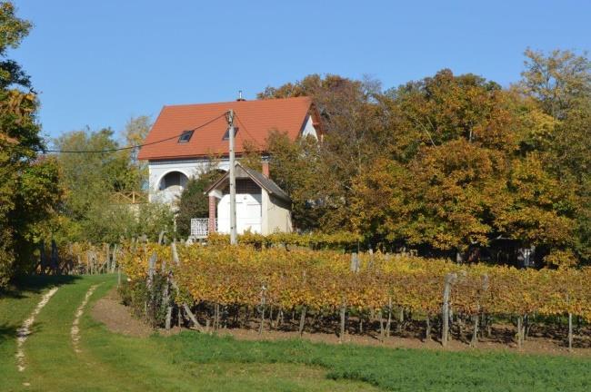 szorgalma.
