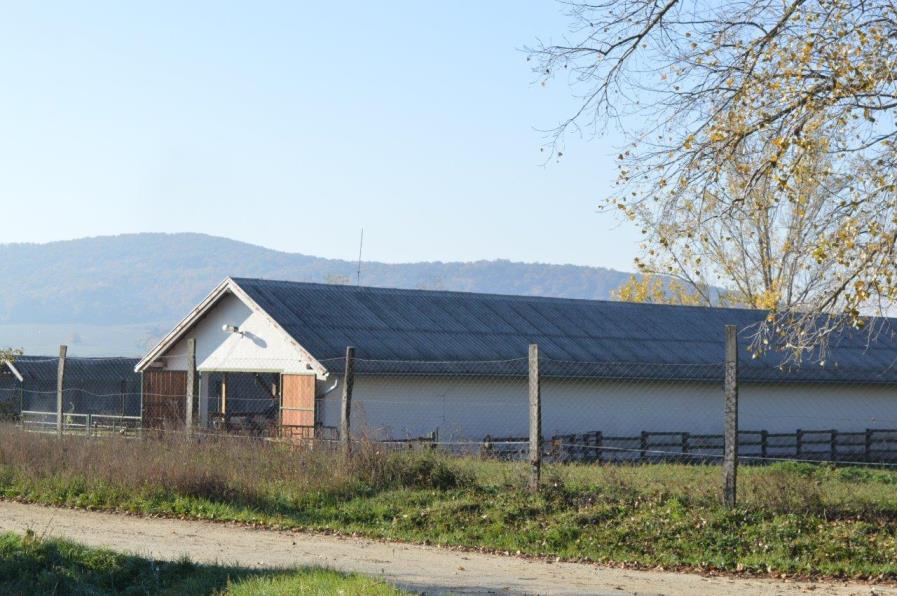 Gazdasági terület A mezőgazdasági üzem elengedhetetlen velejárói a nagyüzemi mezőgazdasági termelésre átállt kultúrtájnak. Az üzem heterogén építmény és épületállománnyal rendelkező terület.