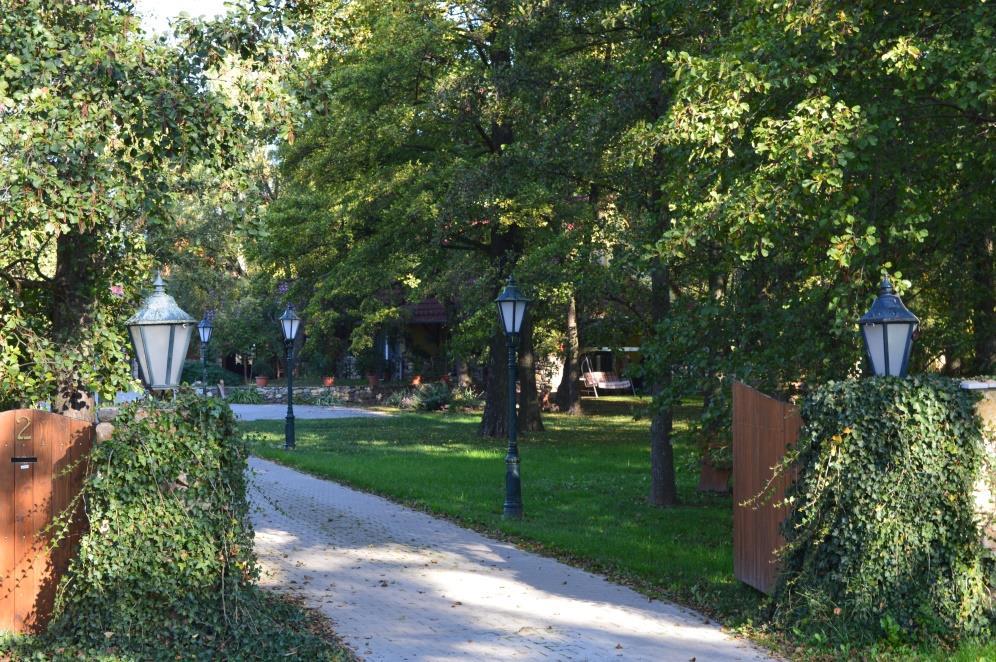Az épületeket csak részlegesen takarjuk, árnyékoló fákat a déli kitettségű falak közelében ültessünk.