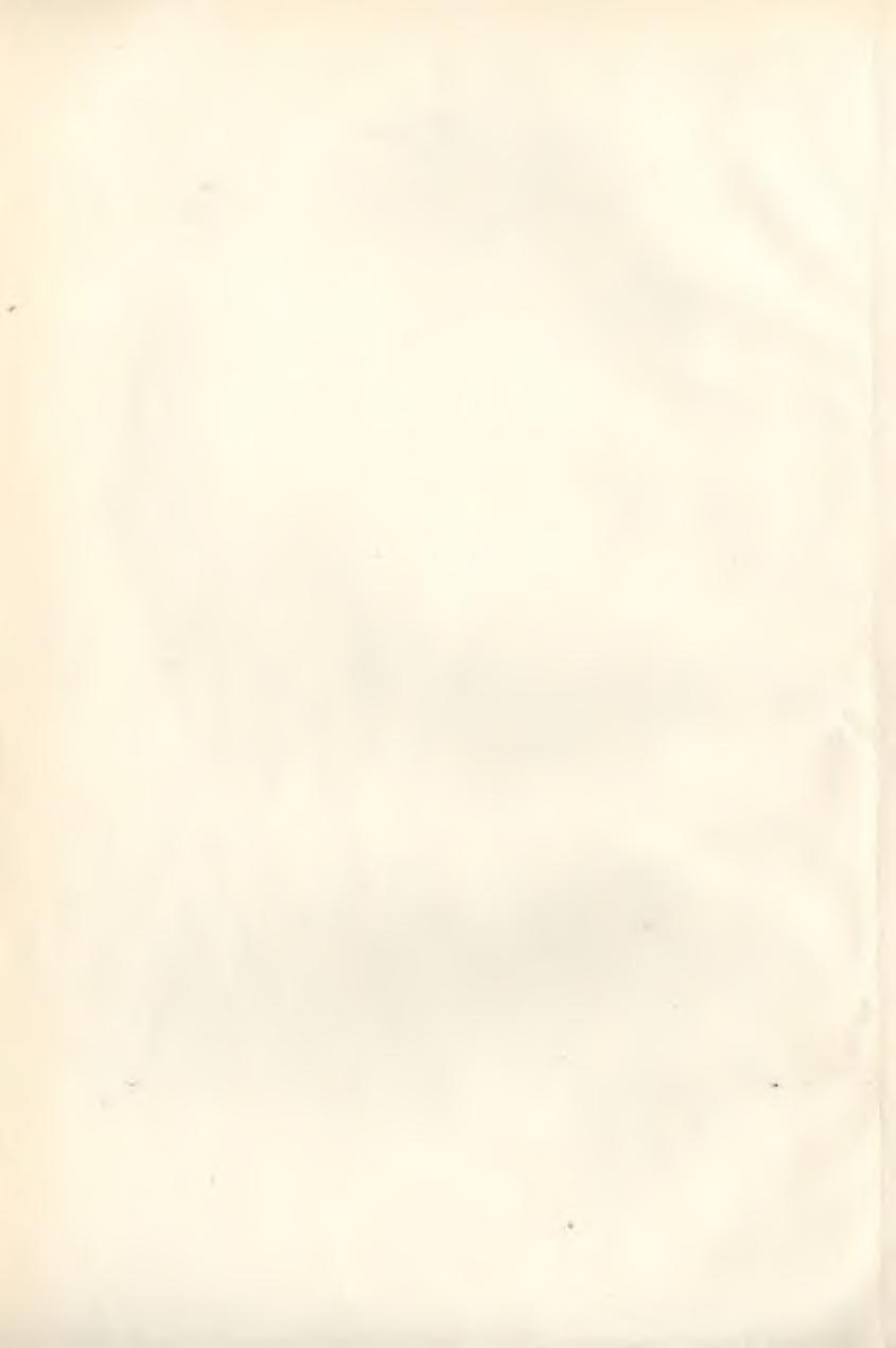 SZERKESZTŐ BIZOTTSÁG: Gulyás Emilné dr. (a szerkesztő bizottság elnöke), Horváth Gabriella, Horváth Mik lós, dr. Klenczner Imre, Koncz Károly, Kopka János, Lábass Menyhért, dr.