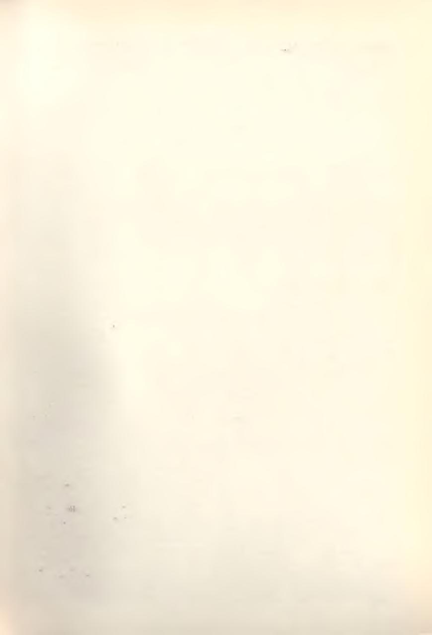 kával, a tanácsok irányítása alatt álló ágazatok tevékeny,jégével, a kom m unális ellátással.