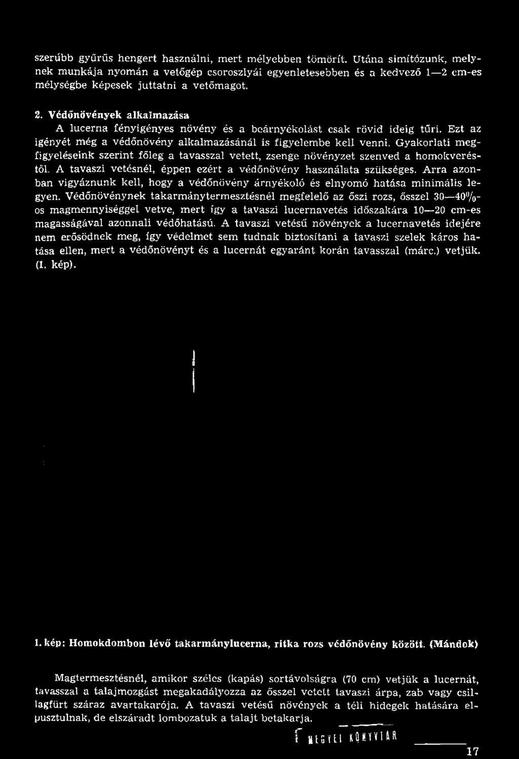 A tavaszi vetésnél, éppen ezért a védőnövény h asználata szükséges. A rra azonban vigyáznunk kell, hogy a védőnüvény árnyékoló és elnyomó h atása m inim ális legyen.