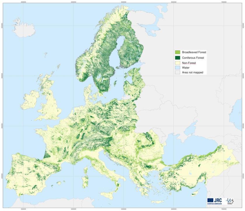 1. Az európai erdők helyzete (bevezetés) Az erdők és a fás növényzettel borított területek az Európai Unió 28 tagállamában 176 millió hektárt fednek le, ami az EU szárazföldi területének 42%-át
