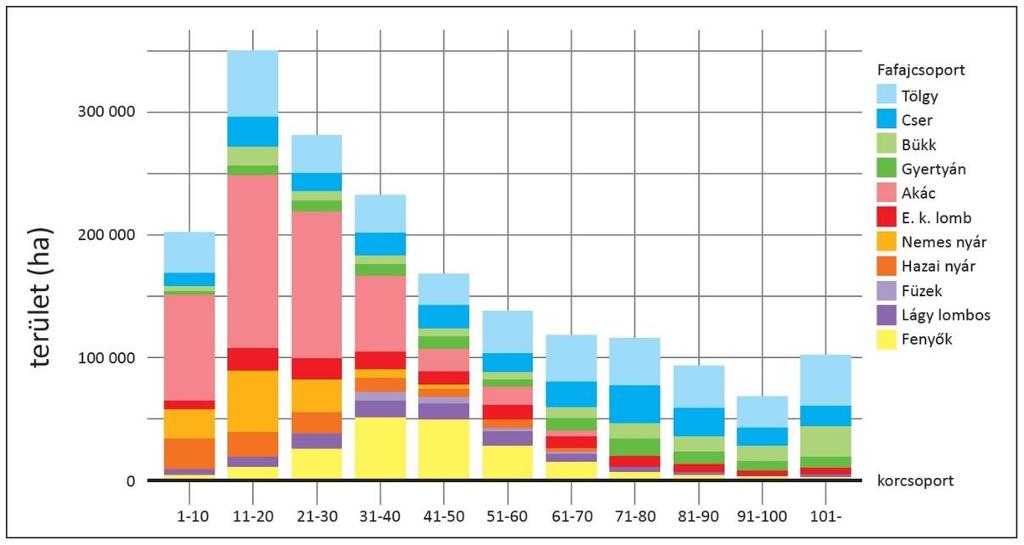 8. ábra: A fafajcsoportok területének korosztályok szerinti megoszlása (2015) A hazai erdők jelenlegi állapotának áttekintéséhez és kiértékeléséhez érdemes tanulmányozni a jelenlegi országterület