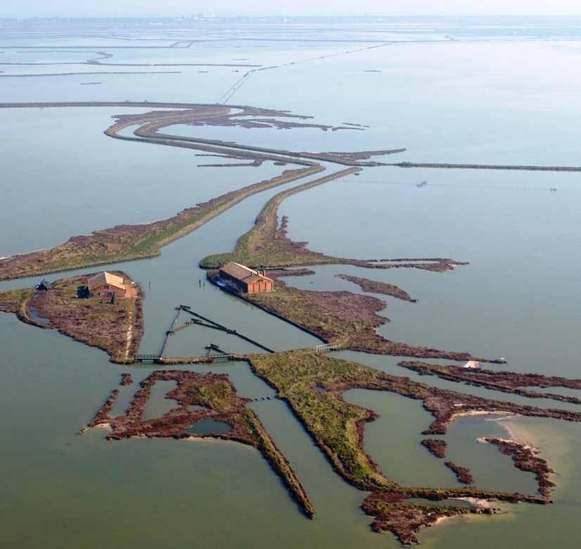 Po Delta Park Riviera Les marais de Comacchio Une véritable réserve biologique où les anguilles deviennent adultes et se préparent à leurs amours océaniques : elles y entrent presque invisibles puis