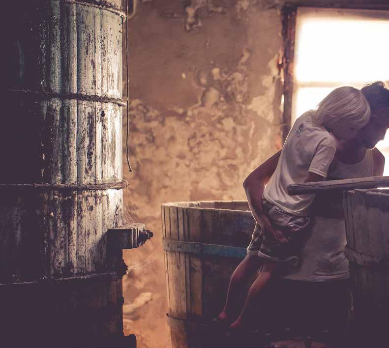 Nourriture et Vin - Eten & Wijn - Mad & Vin Comacchio, Manifattura dei Marinati Sala degli aceti Saveurs du Delta Le goût est une