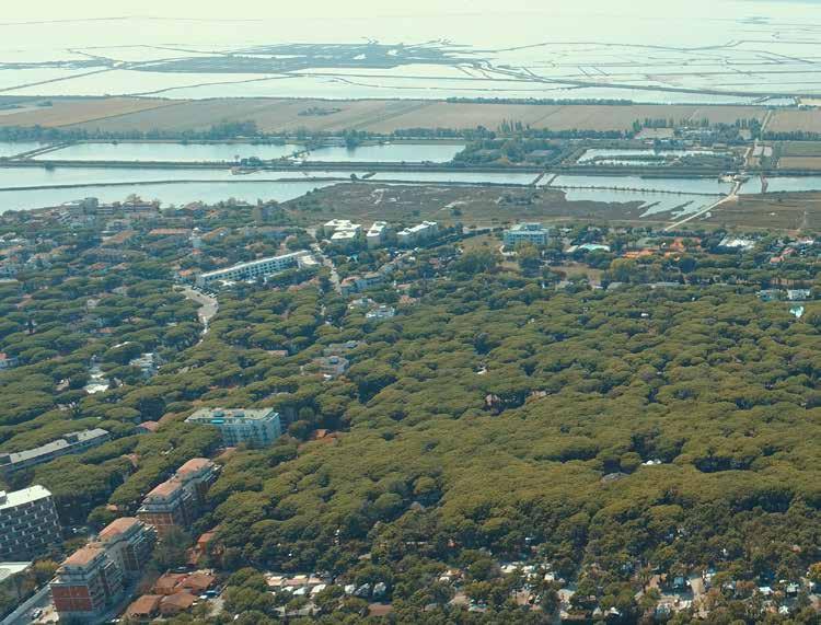 Suivez les routes du Delta Ce sont plus de 360 espèces d oiseaux qui vivent, passent l hiver, font leur nid dans ce lieu où l eau du grand fleuve Pô épouse les eaux de la mer driatique.