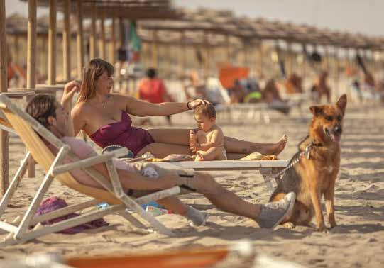 confort également pour eux. Emmenez-les en vacances avec vous!