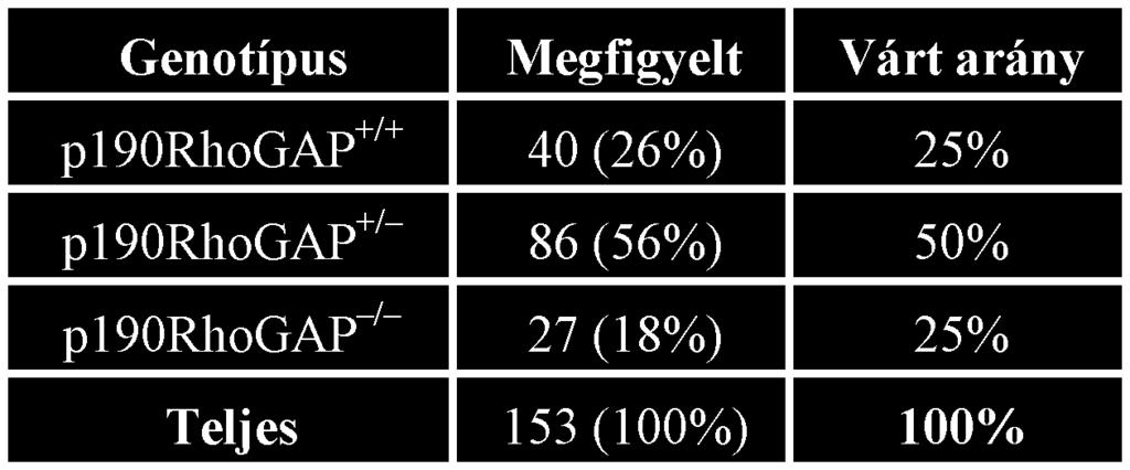 terjedt), mi pedig egyes esetekben szemfejl dési zavarokat, colobomákat figyeltünk meg (nem mutatott eredmények). A B 20.