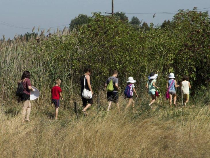 The Constant Effort Sites survey of the breeding season was followed by Actio Hungarica program. 7-ben az Európai Madármegfigyel Napok és a VI.