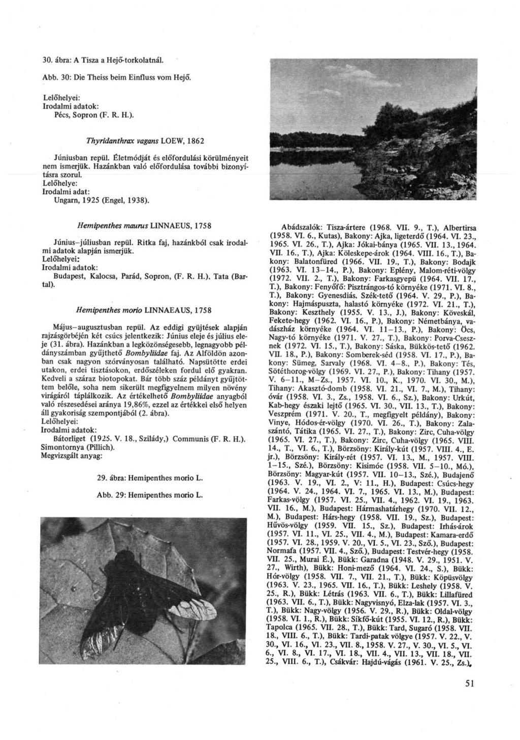 30. ábra: A Tisza a Hejő-torkolatnál. Abb. 30: Die Theiss beim Einfluss vom Hejő. Pécs, Sopron (F. R. H.). Thyrídanthrax vagans LOEW, 1862 Júniusban repül.