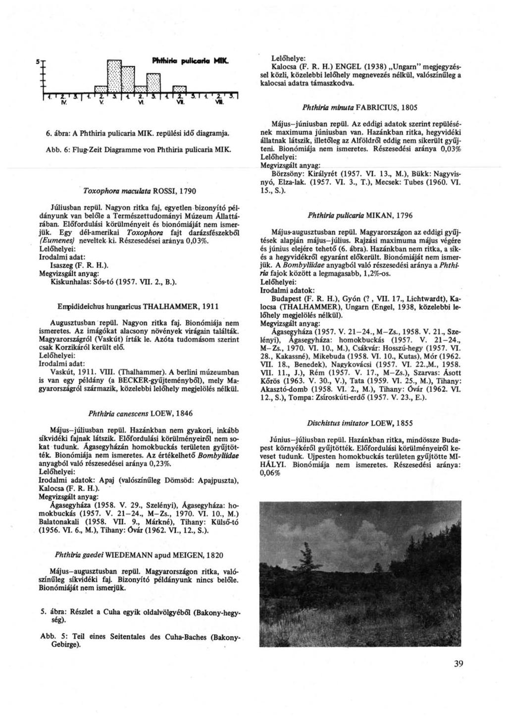 Lelőhelye: Kalocsa (F. R. H.) ENGEL (1938) Ungarn" megjegyzéssel közli, közelebbi lelőhely megnevezés nélkül, valószínűleg a kalocsai adatra támaszkodva. Phthiria minuta FABRICIUS, 1805 6.