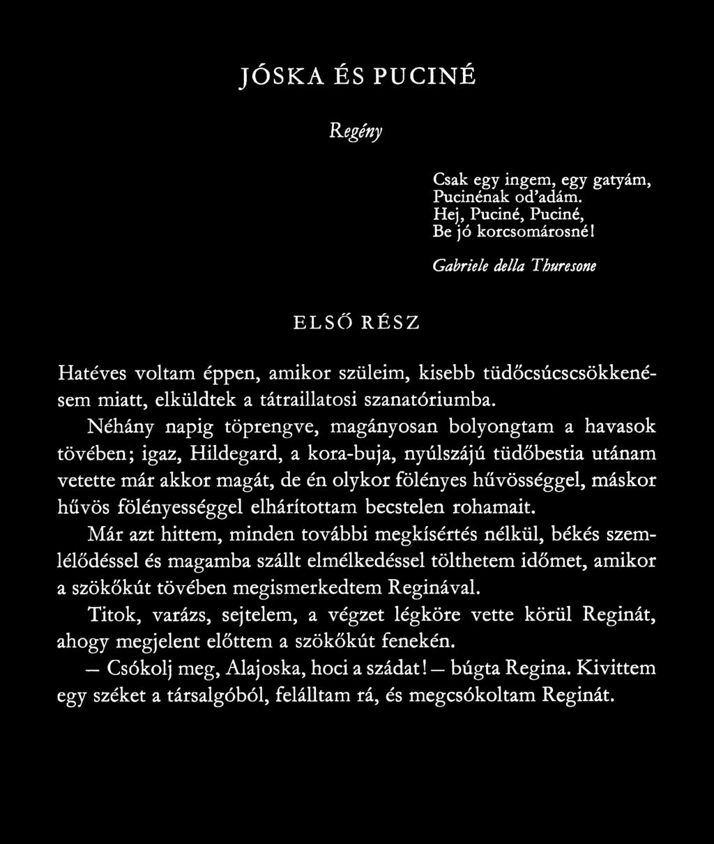 Néhány napig töprengve, magányosan bolyongtam a havasok tövében; igaz, Hildegard, a kora-buja, nyúlszájú tüdőbestia utánam vetette már akkor magát, de én olykor fölényes hűvösséggel, máskor hűvös
