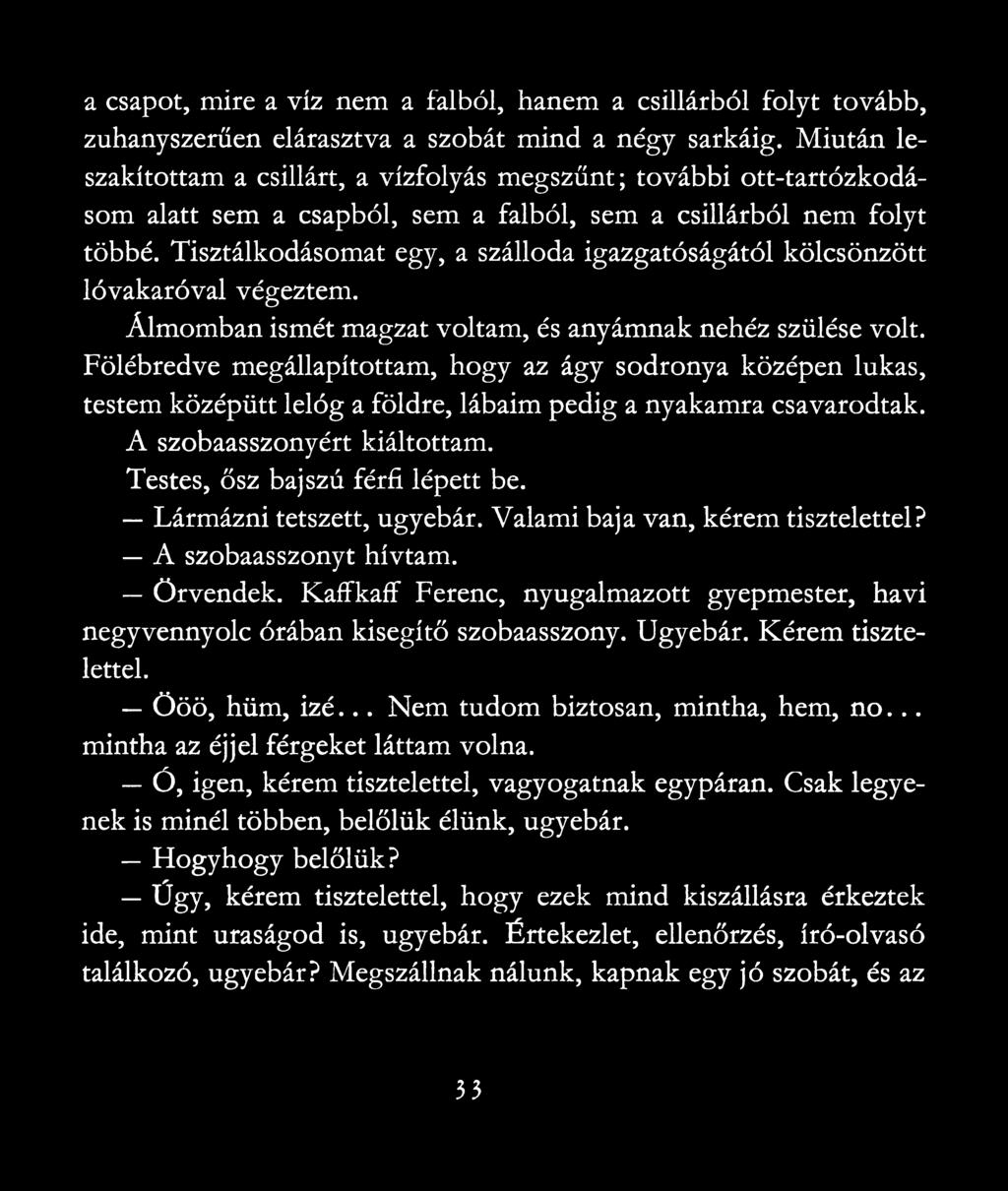 Tisztálkodásomat egy, a szálloda igazgatóságától kölcsönzött lóvakaróval végeztem. Álmomban ismét magzat voltam, és anyámnak nehéz szülése volt.
