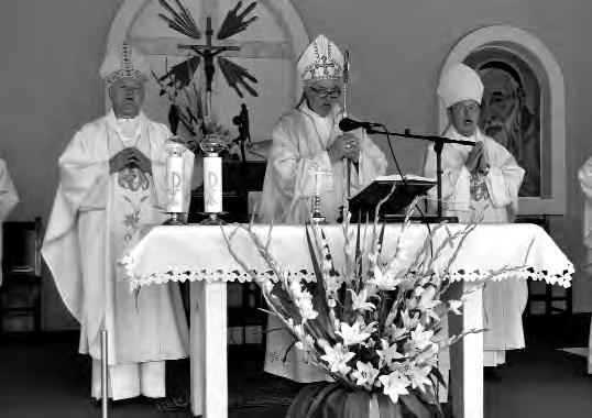 cima Bačkog dekanata, predstojnikom franjevačkog samostana u Baču te domaćim župnikom vlč. Josipom Štefkovićem. Dan obitelji na Bunariću U Marijinom svetištu Bunarić 18.