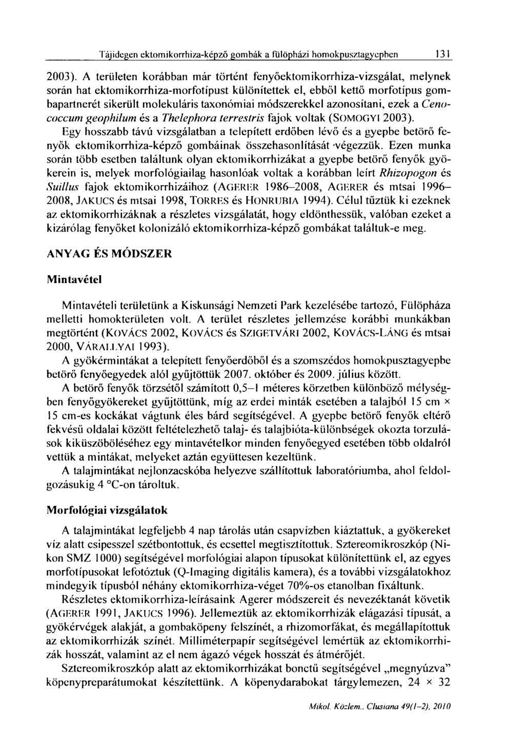 Tájidegen cktomikorrhiza-kcpző gombák a lulöpházi homokpusztagyephen 13 1 2003).