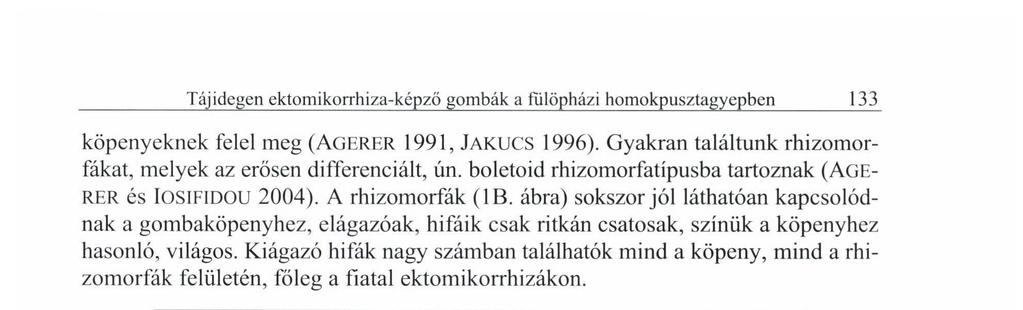 ábra) sokszor jól láthatóan kapcsolódnak a gombaköpenyhez, elágazóak, hifáik csak ritkán csatosak, színük a köpenyhez hasonló, világos.