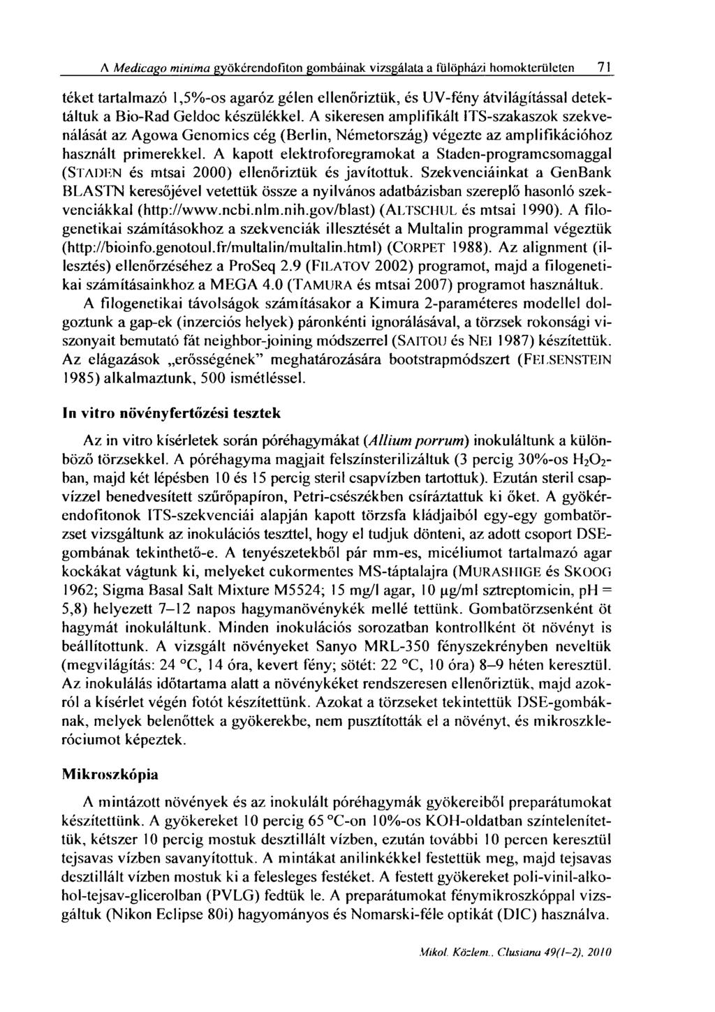 A Medicago minima gyökcrendofiton gombáinak vizsgálata a l'ülftpházi homokterületen 71 téket tartalmazó 1,5%-os agaróz gélen ellenőriztük, és UV-fény átvilágítással detektáltuk a Bio-Rad Geldoc