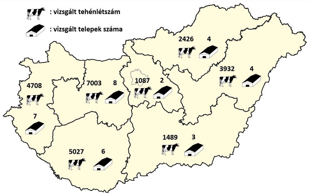 2. Adatgyűjtés Az üszőknél és teheneknél alkalmazott szaporodásbiológiai menedzsment intézkedésekről 2015. május 22. és november 6.