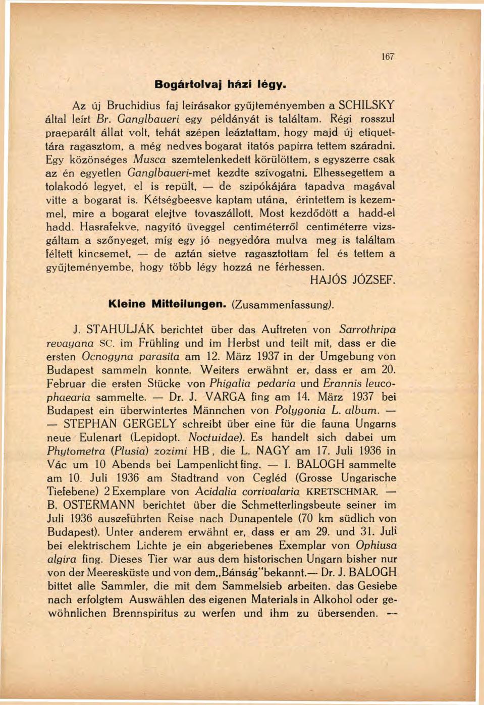 Bogártolvaj házi légy. Az új Bruchidius faj leírásakor gyűjteményemben a SCHILSKY által leírt Br. Ganglbaueri egy példányát is találtam.
