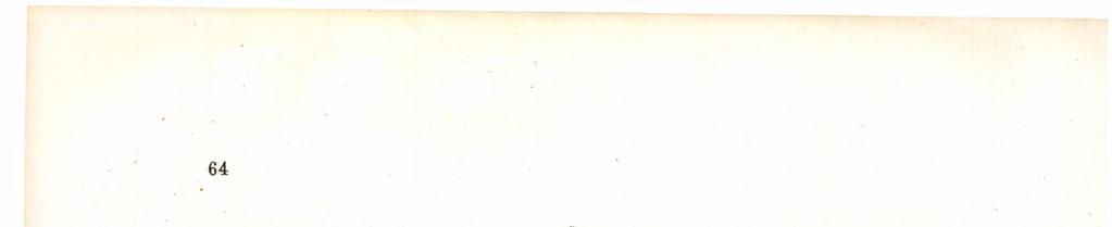 64 6. szám. Ezen leírásból kitűnik, hogy e pénzecske Rupp XIV.