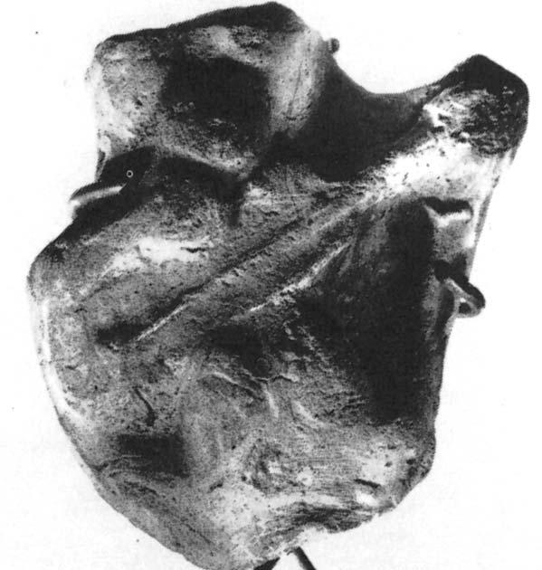 nyomán) 7. kép. Baktria, Kr. e. 3 1.  nyomán)