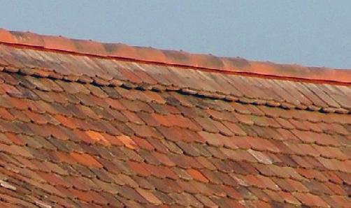 Szükséges kiszellőzés keresztmetszet két szarufa közti terület: 0,050 % Szükséges kiszellőzés keresztmetszet két szarufa közti terület 0,050% hossz Szarufa tengely kiszellőztetendő tetőfelület
