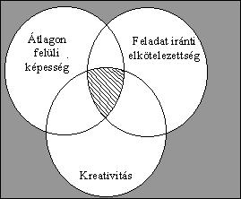 Tehetséggondozásunk részlet Kiss Albert: Kreatív természettudományi tehetséggondozás. MATEHETSZ, Budapest, 2014. Géniusz Könyvek 32. 20-22.