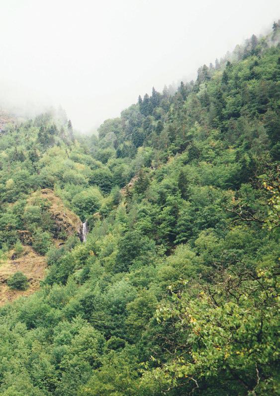výročná správa 44 2016 Szlovákiai Magyar