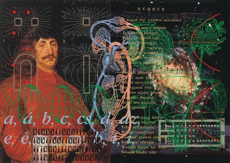 iskola honlapján: www.zrinyink.hu, www.nkbolyai.