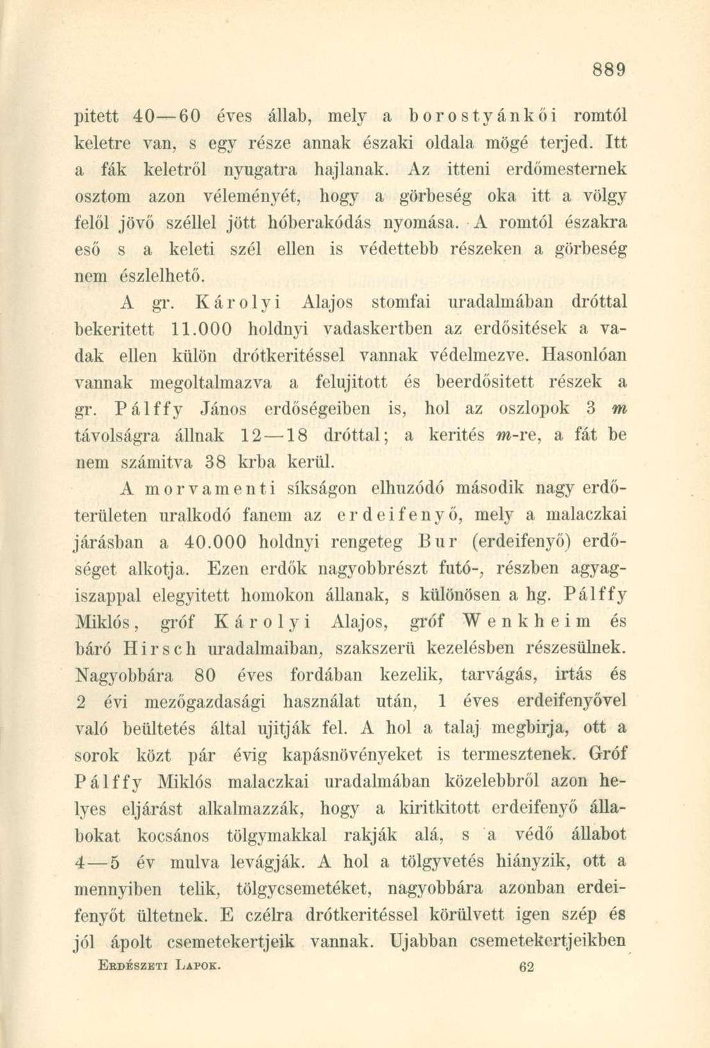 pitett 40 60 éves állab, mely a borostyánkői romtól keletre van, s egy része annak északi oldala mögé terjed. Itt a fák keletről nyugatra hajlanak.