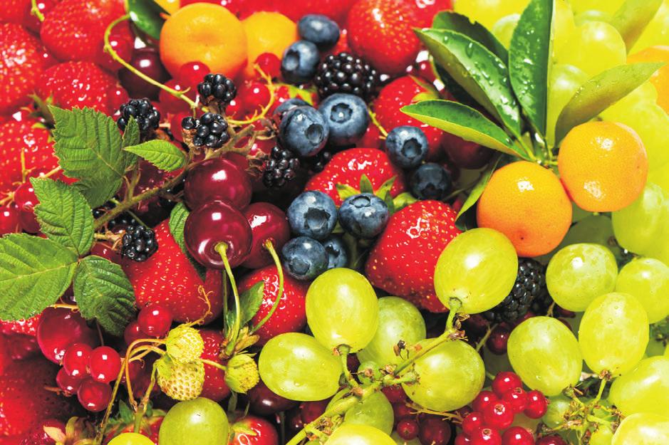 fűszerpaprika jogszabályvizsgálata Hat Szigma az élelmiszertermelésben a