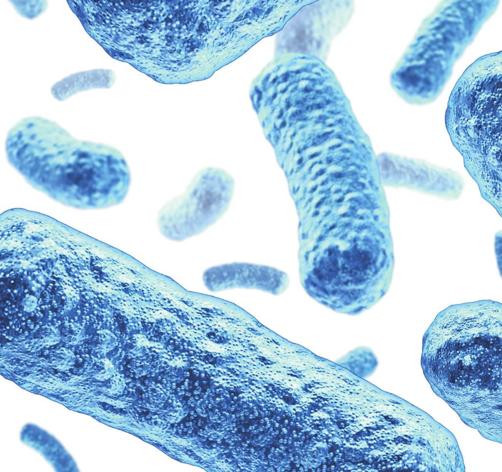 TUDOMÁNY EGY NEHÉZ BAKTÉRIUM Int. J. Food Microbiol., 138, 172-175. (11) Metcalf, D. S., Costa, M. C. Dew, M. W. & Weese, J. S.. (2010): Clostridium difficile in vegetables, Canada. Lett. Appl.